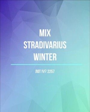 Купить STRADIVARIUS Winter mix#15 кг, ЛОТ №2257 оптом в Анадыри и Чукотском АО