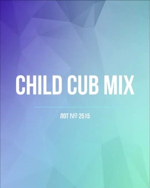 Купить CUBUS детский микс лето (Children CUBUS mix)#15 кг, ЛОТ №2515 оптом в Анадыри и Чукотском АО