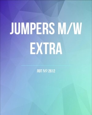 Купить Джемпер муж+жен экстра#15 кг , Лот№2612 оптом в Анадыри и Чукотском АО