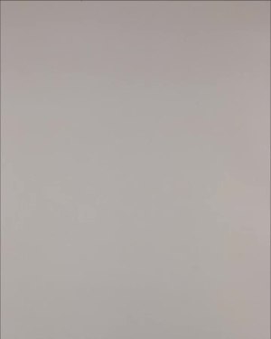 Фотография  338 - Нижнее белье Bon Prix дети#50 шт, ЛОТ №3242 оптом в Анадыри и Чукотском АО