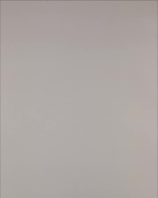 Фотография  684 - Нижнее белье Bon Prix дети#50 шт, ЛОТ №3242 оптом в Анадыри и Чукотском АО