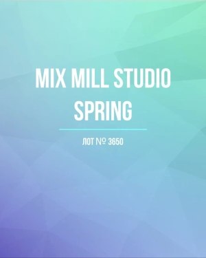 Купить MILL STUDIO Spring mix#15 кг, ЛОТ №3650 оптом в Анадыри и Чукотском АО
