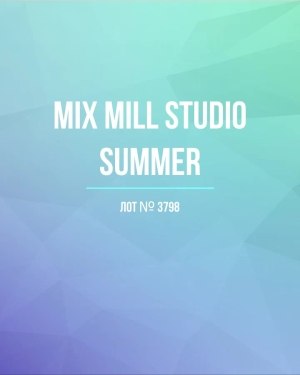 Купить MILL STUDIO Summer mix#15 кг, ЛОТ №3798 оптом в Анадыри и Чукотском АО