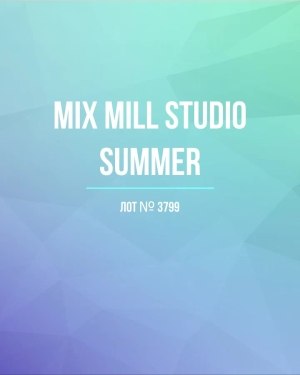 Купить MILL STUDIO Summer mix#15 кг, ЛОТ №3799 оптом в Анадыри и Чукотском АО