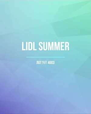 Купить LIDL Summer#20 кг, ЛОТ №4003 оптом в Анадыри и Чукотском АО