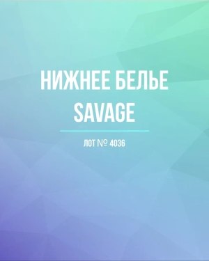 Купить Нижнее белье Savage, 50 шт, ЛОТ №4036 оптом в Анадыри и Чукотском АО