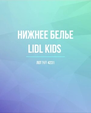 Купить Нижнее белье LIDL Kids#5 кг, ЛОТ №4231 оптом в Анадыри и Чукотском АО