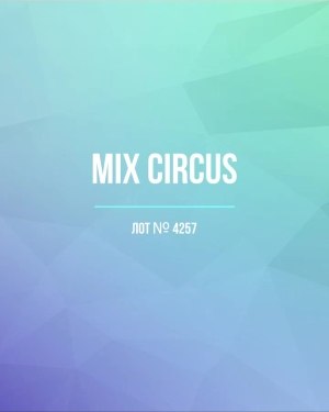 Купить CIRCUS mix #13 кг, ЛОТ №4257 оптом в Анадыри и Чукотском АО