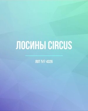 Купить Лосины CIRCUS #6,2 кг, ЛОТ №4326 оптом в Анадыри и Чукотском АО