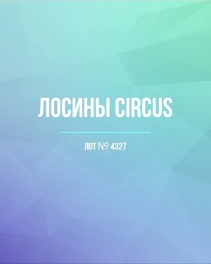 Купить Лосины CIRCUS #6,2 кг, ЛОТ №4327 оптом в Анадыри и Чукотском АО