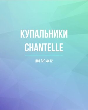 Купить Купальники Chantelle#23 шт, ЛОТ №4412 оптом в Анадыри и Чукотском АО