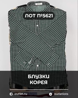 Купить Блузки Корея#20 шт, ЛОТ №5621 оптом в Анадыри и Чукотском АО