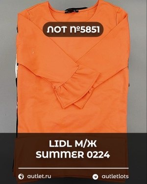 Купить LIDL Summer м/ж 022024#14 кг, ЛОТ №5851 оптом в Анадыри и Чукотском АО