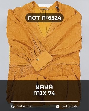 Купить YA YA 062024#39 шт, ЛОТ №6524 оптом в Анадыри и Чукотском АО