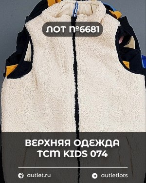 Купить Верхняя одежда TCM kids 074#7 кг, ЛОТ №6681 оптом в Анадыри и Чукотском АО