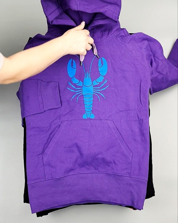 Фотография  177 - Толстовки м/ж (Sweat Tops)#20 кг, ЛОТ №7431 оптом в Анадыри и Чукотском АО