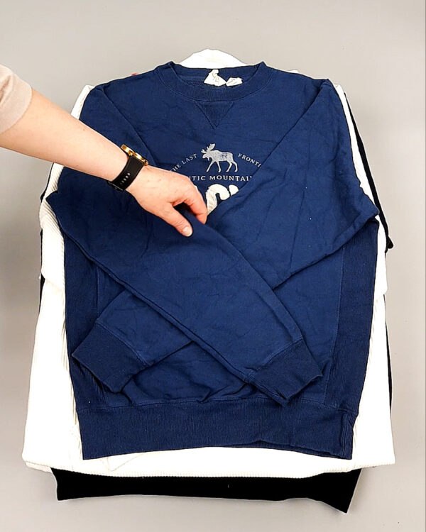 Фотография  710 - Толстовки муж BLUE CAN 084#10 кг, ЛОТ №8104 оптом в Анадыри и Чукотском АО