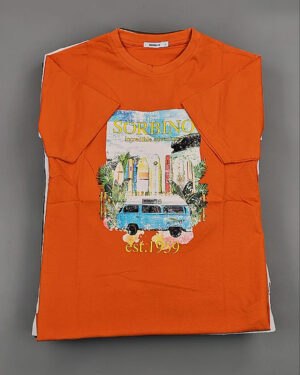 Купить Футболки мужские C-3141 (MEN T-shirt Sorbino) #4,8 кг оптом в Анадыри и Чукотском АО