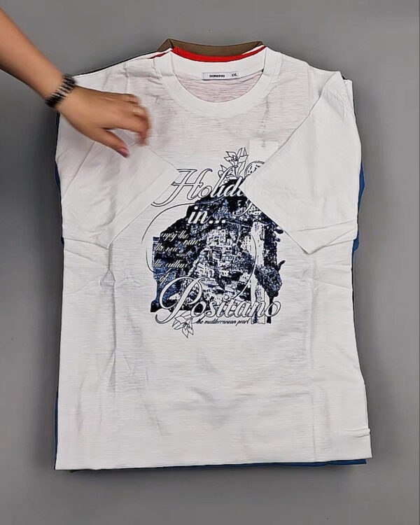 Фотография  699 - Футболки мужские C-3141 (MEN T-shirt Sorbino) #4,8 кг оптом в Анадыри и Чукотском АО