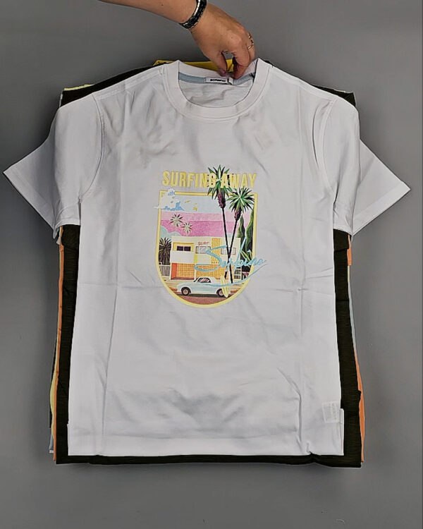 Фотография  718 - Футболки мужские C-3141 (MEN T-shirt Sorbino) #4,8 кг, ЛОТ №8835 оптом в Анадыри и Чукотском АО