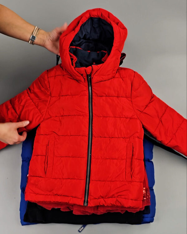 Фотография  868 - KB1W mix#15 кг, ЛОТ СХ-0256 оптом в Анадыри и Чукотском АО