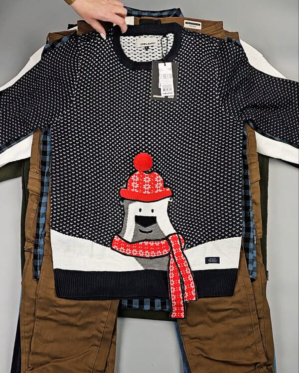 Фотография  843 - Мужской зимний микс Blend He, 20 кг, ЛОТ СТ-10052 оптом в Анадыри и Чукотском АО